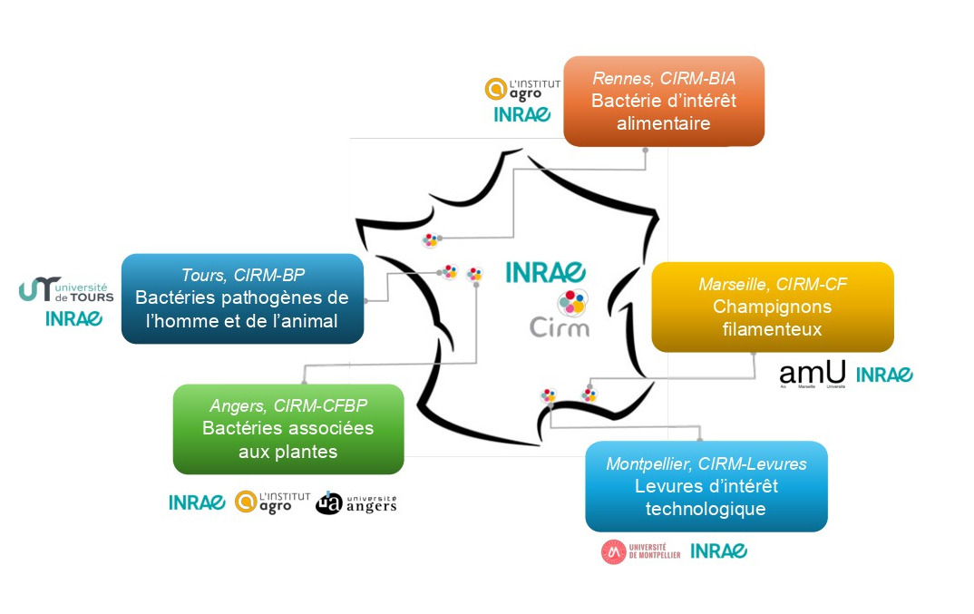 carte_france_activites carte_france_activites